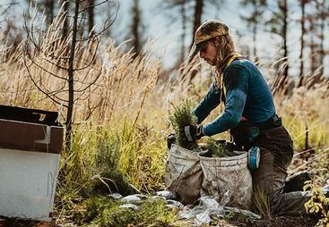 topic-ecosystem-restoration-shutterstock_1763600207.jpg