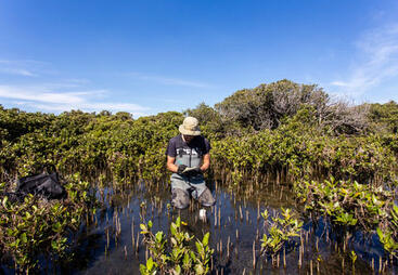 topic-nbs-for-climate-shutterstock_1986241904.jpg